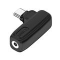 Mini convertitore dell'adattatore di ricarica 100W P 3,0X1,1 mm femmina a maschio Type-C