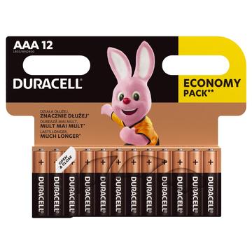 Pile alcaline Duracell Basic LR03/AAA - 12 pezzi.