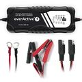 EverActive CBC-10 v2 Caricabatterie intelligente per auto 12V/24V - VRLA/AGM/VLA SLA/WET/GEL/LEAD ACIDO