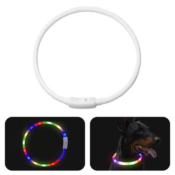 Collare luminoso a LED per cani per passeggiate notturne - Ricaricabile via USB