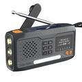 WR-6B Radio di emergenza a manovella solare DAB con torcia LED - Nero