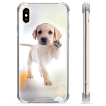 Custodia ibrida per iPhone X / iPhone XS - Cane